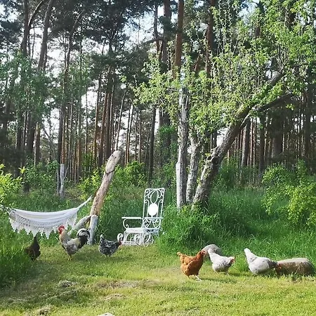 Gaestesuite Am Waldrand, Ausstieg Auf Zeit Heideblick Exterior photo